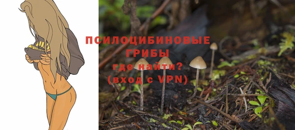 синтетический гашиш Абдулино