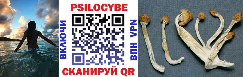 Галлюциногенные грибы Magic Shrooms  KRAKEN tor  Карабаново 